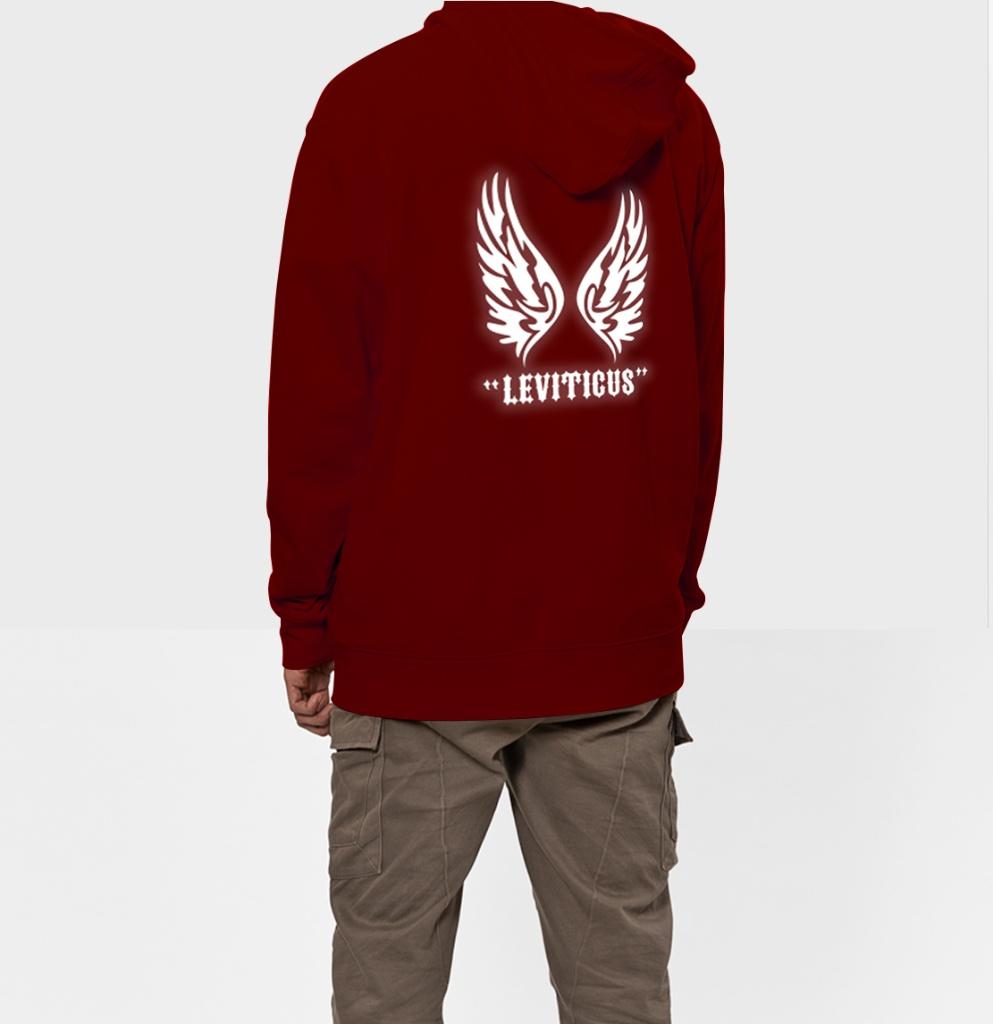 ÁO KHOÁC NỈ HOODIE PHẢN QUANG ĐÔI CÁNH