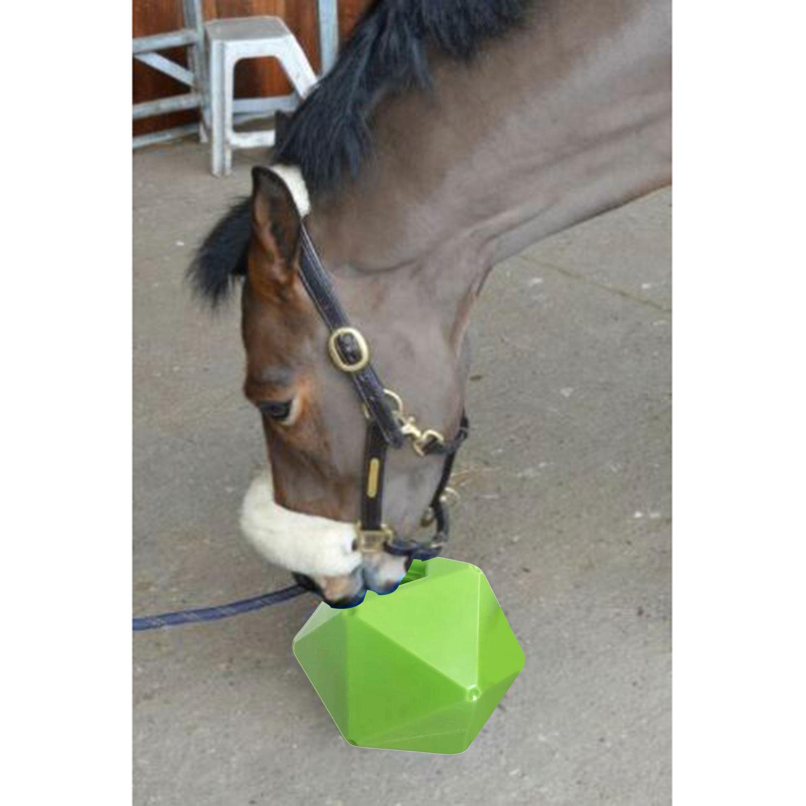 Horse Treat Ball Feeding Toys Feeder Cow Farmhouse Sheep Hay Play Snack Ball