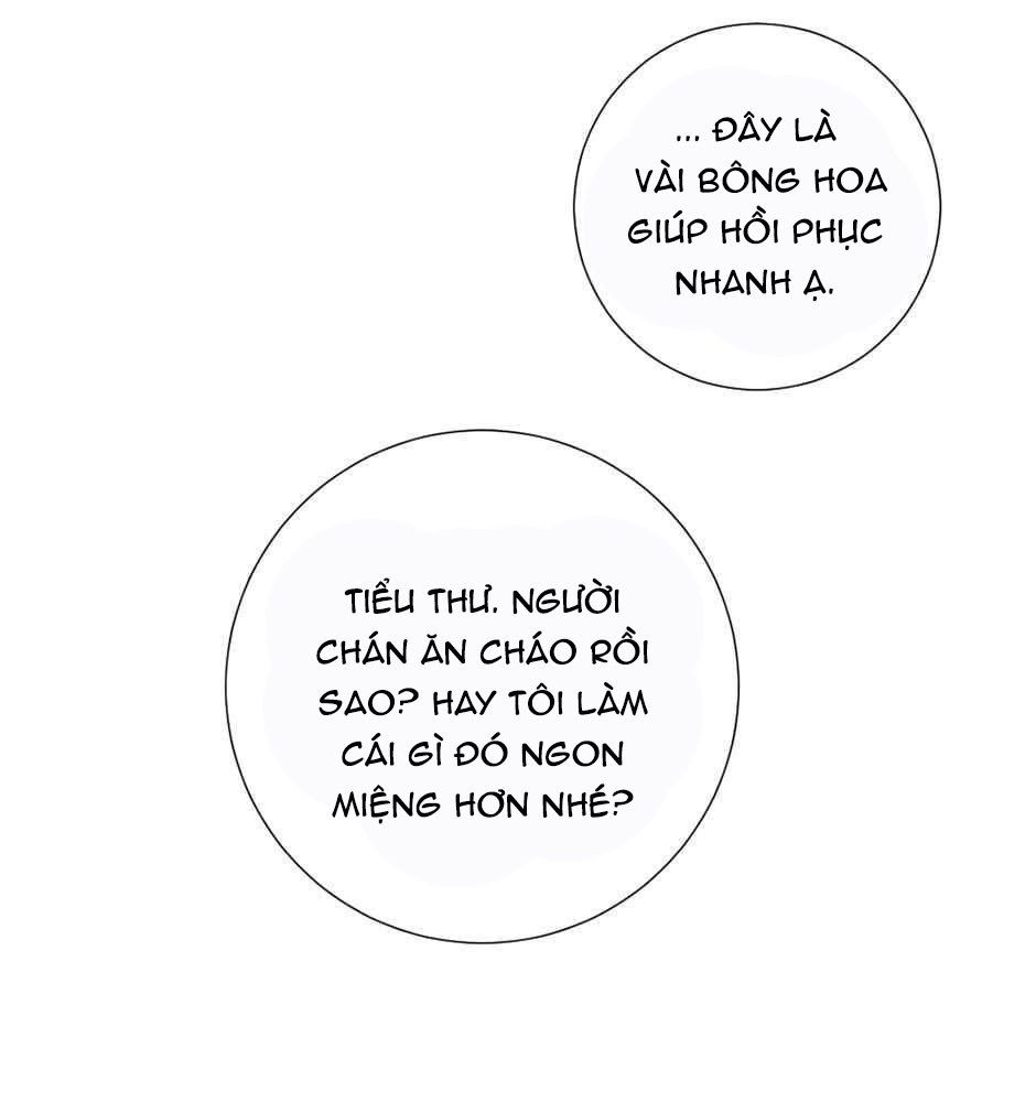 tiểu thư và những người hầu chapter 28 32