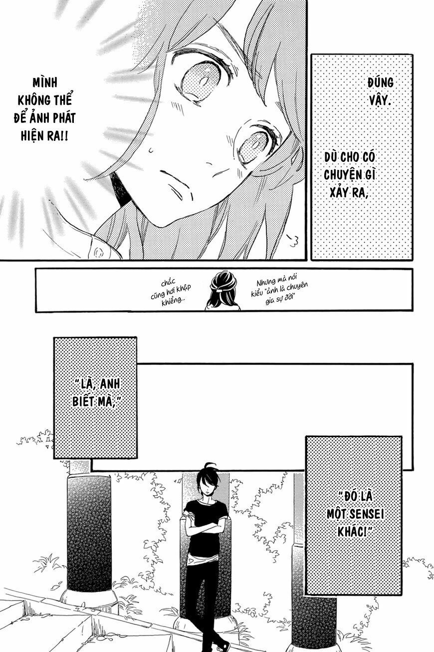 những đóa sơn trà kia, sẽ vì em mà đơm hoa khoe sắc chapter 22 25