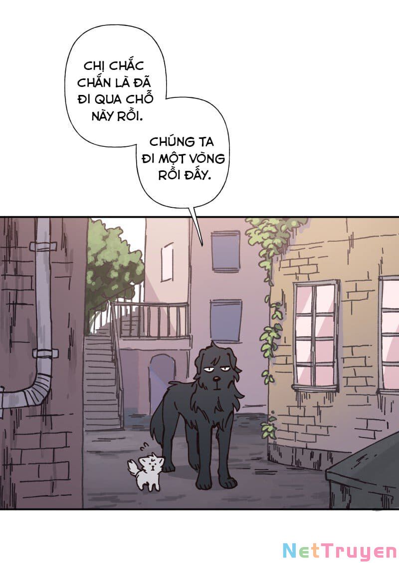 lumine - cội nguồn ánh sáng chapter 82 13