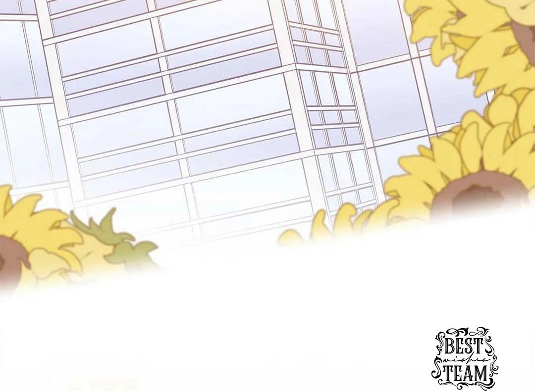 guide cấp b chapter 13 95