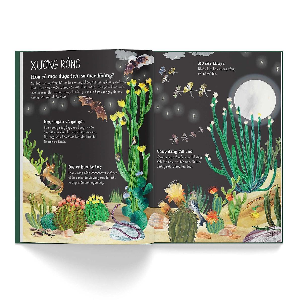 Sách - A Lê Hấp - Đông A  Books
