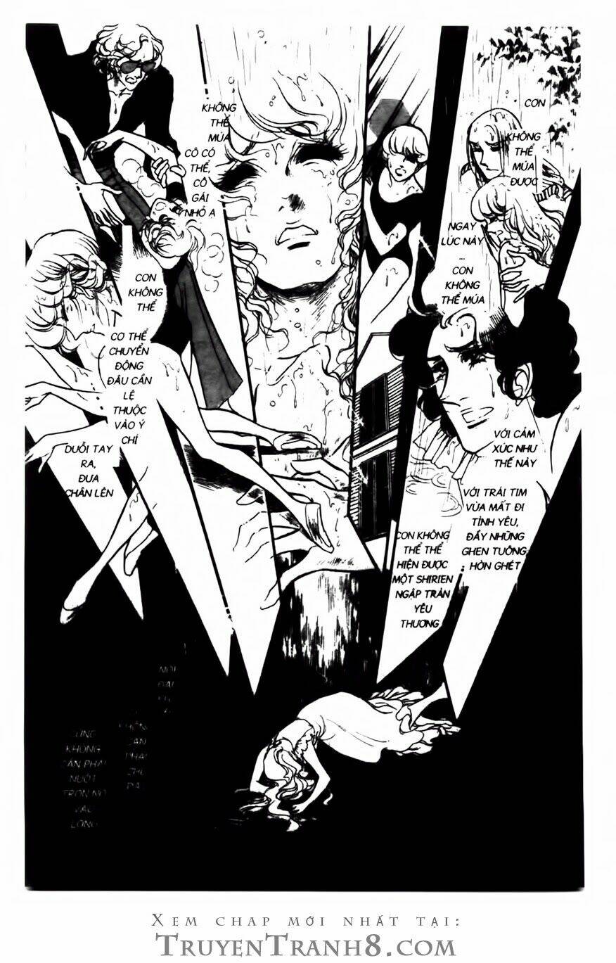 swan - vũ khúc thiên nga chapter 93 8