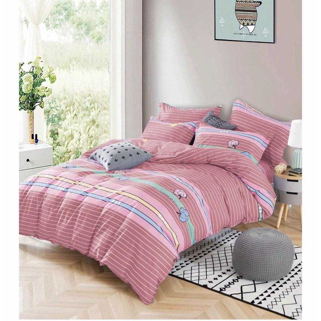 Chăn ga gối cotton 100% JejuBedding