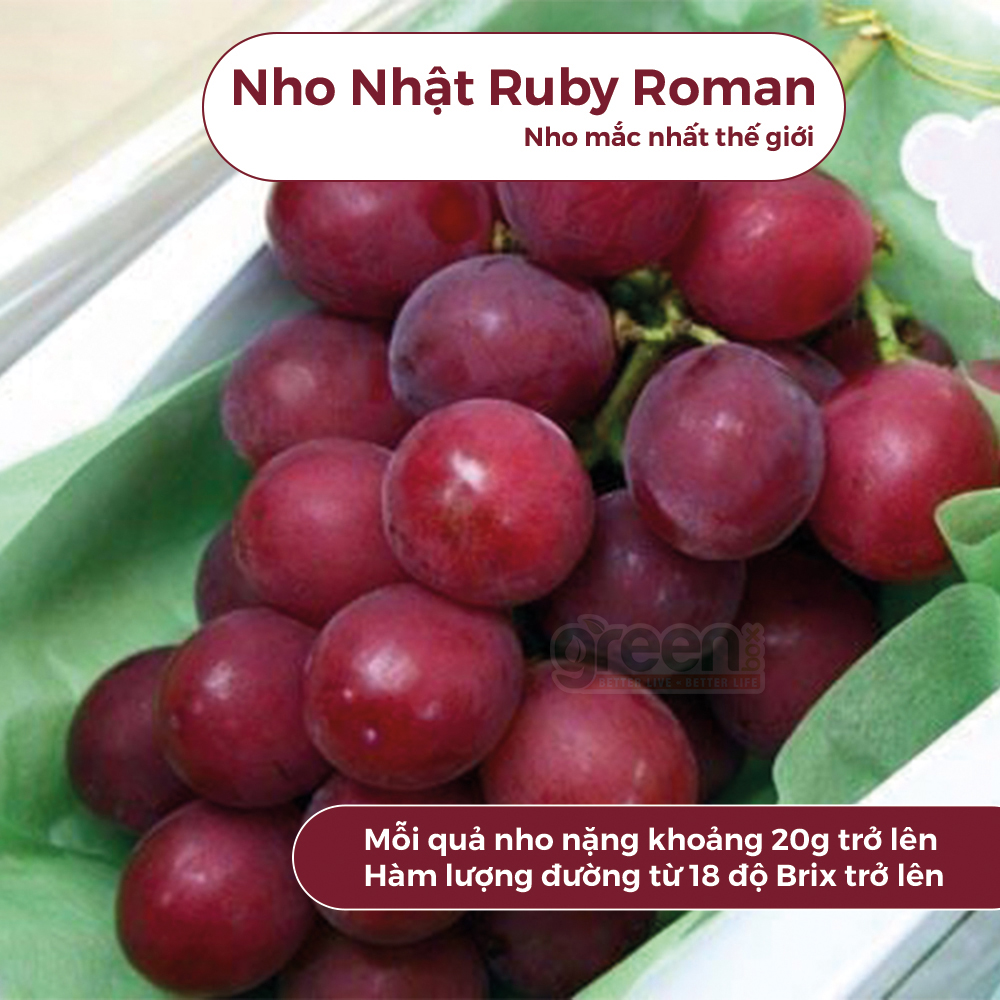 Bánh qui nho Nhật Ruby Roman Hokka 130g