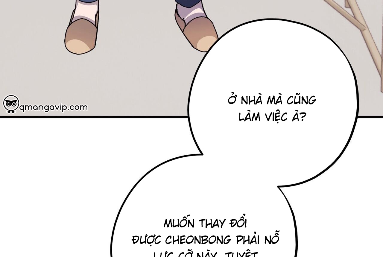 chàng dâu nhà họ kang chapter 43 53