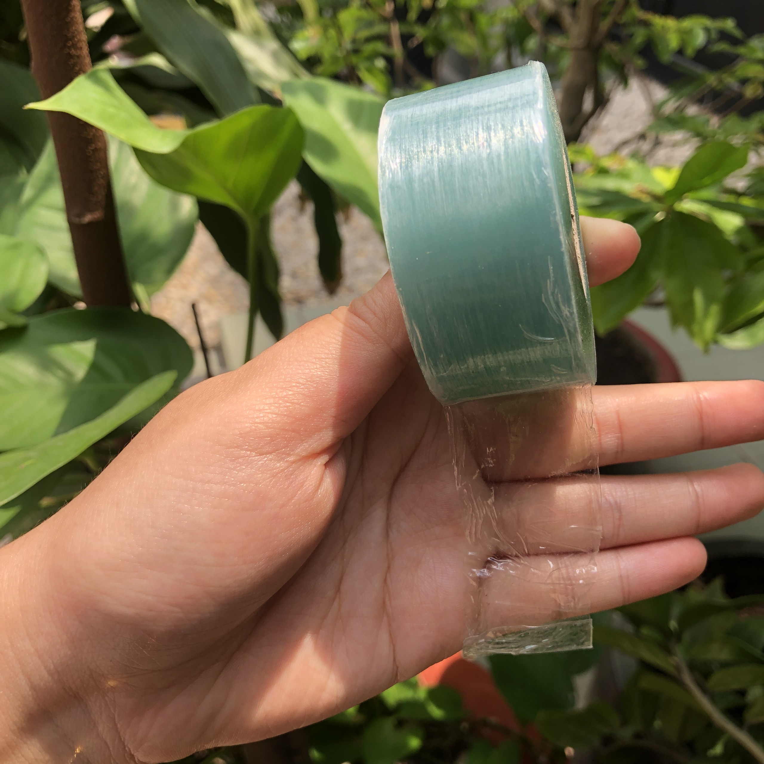 CUỘN BĂNG KEO GHÉP CÂY CHỐNG ẨM TIỆN LỢI - 3cm