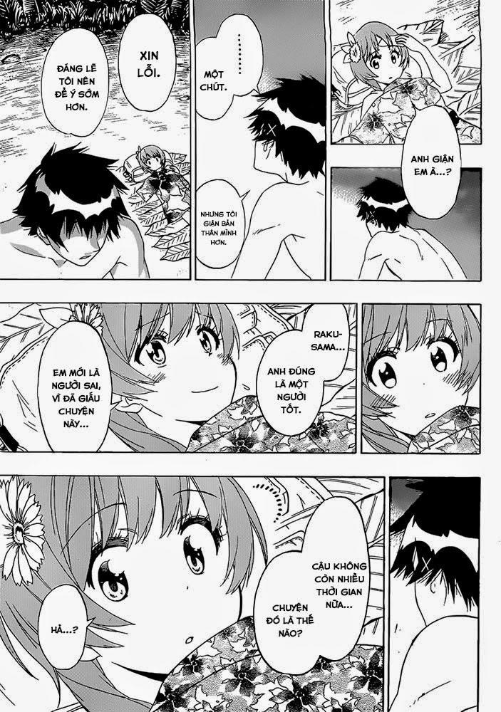 nisekoi - tình yêu giả tạo chapter 171 6