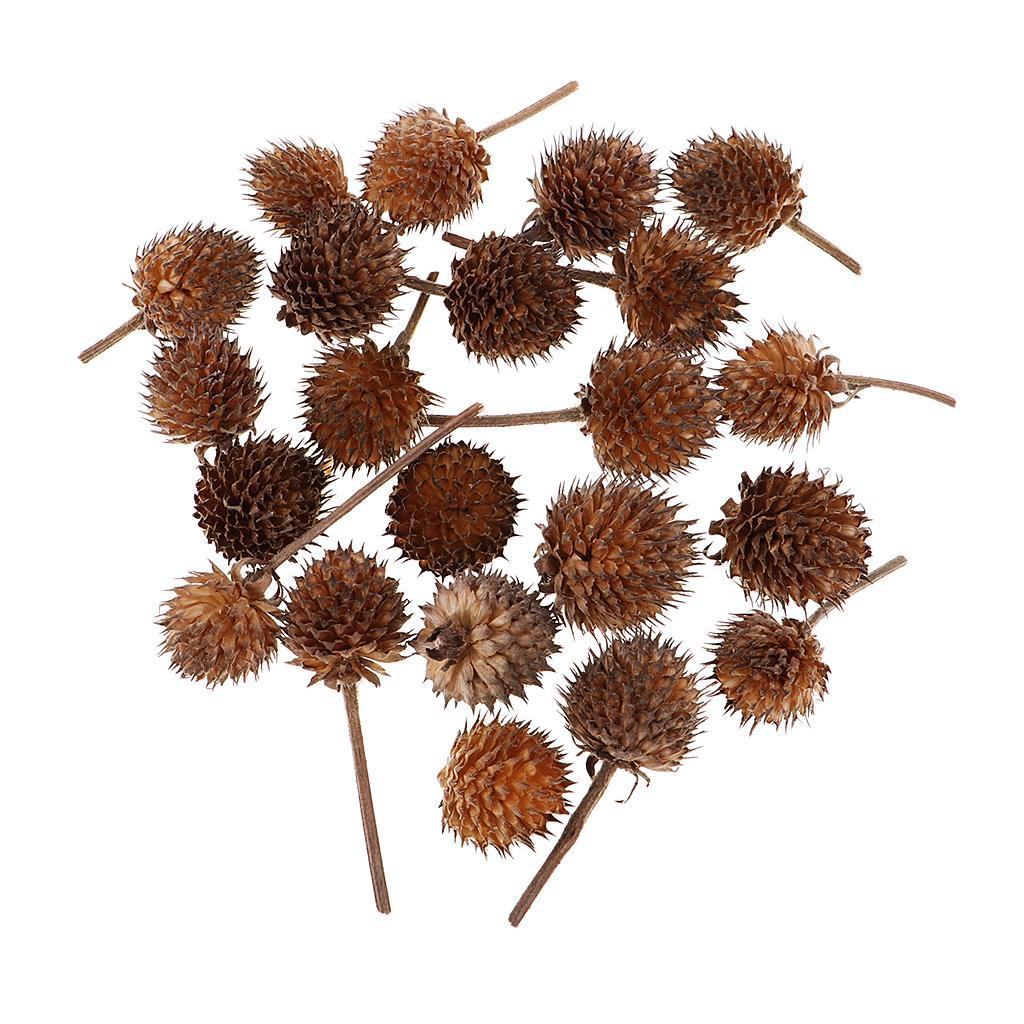 50pcs Mini Dried Flowers Fruits DIY Candy Box Christmas Wedding Decorations