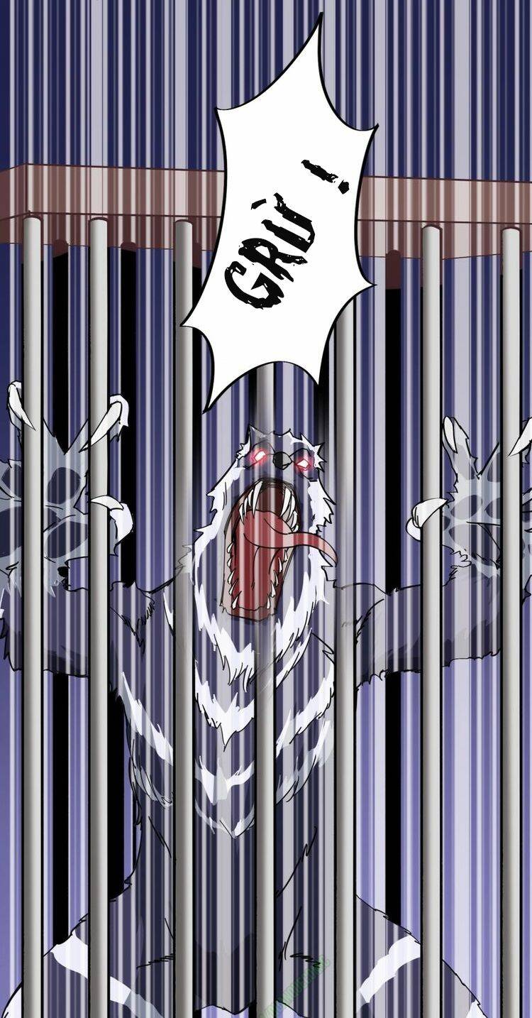 ta luyện giả kim trong thời đại tu tiên chapter 47 13