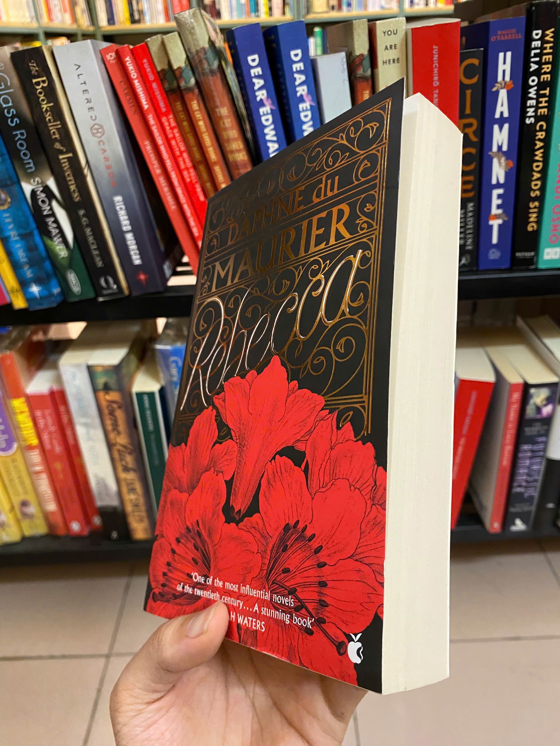 Sách - Rebecca by Daphne du Maurier | Classics / Fiction / Mystery Gothic / Romance in English