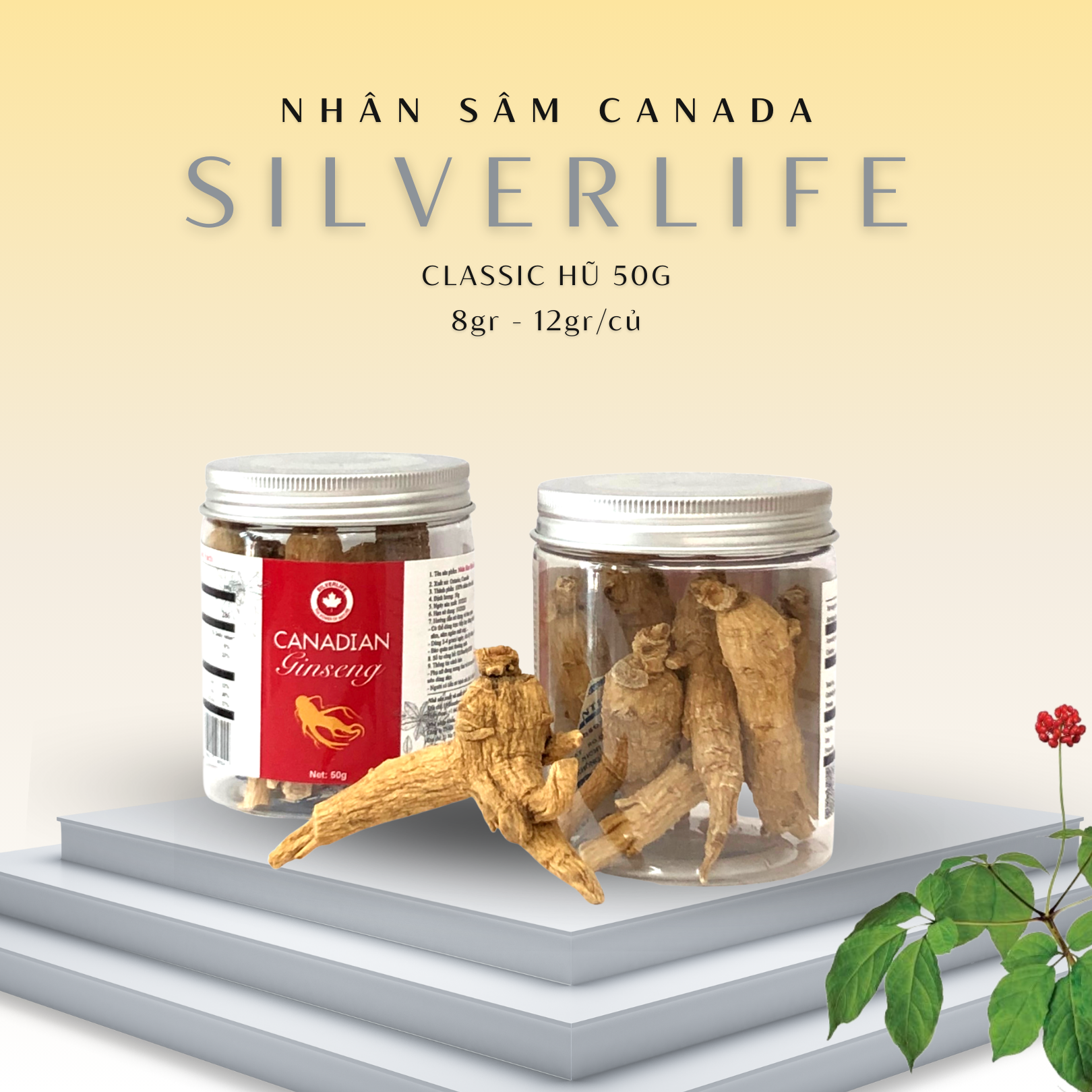 Nhân sâm Canada SilverLife Classic hũ 50g | Nhân sâm Canada khô nguyên củ