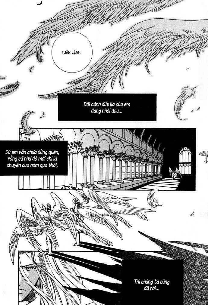 innocent bird chapter 9 16
