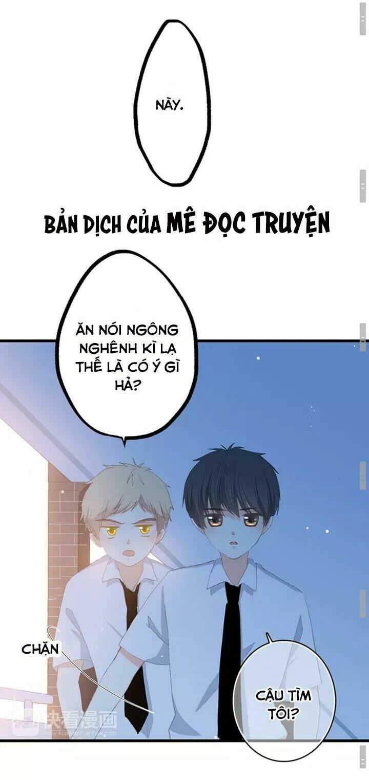 Con Tim Rung Động chapter 43 - Trang 13
