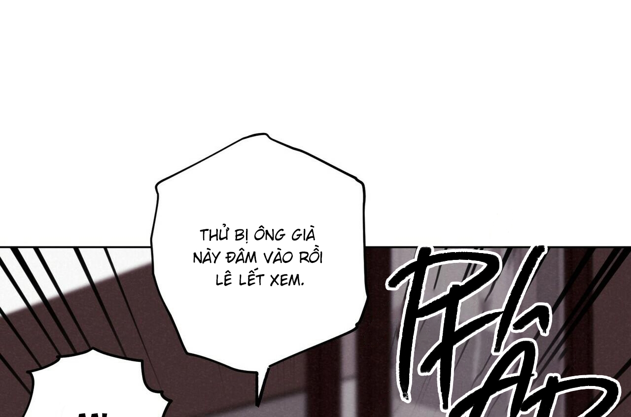 chàng dâu nhà họ kang chapter 28 78