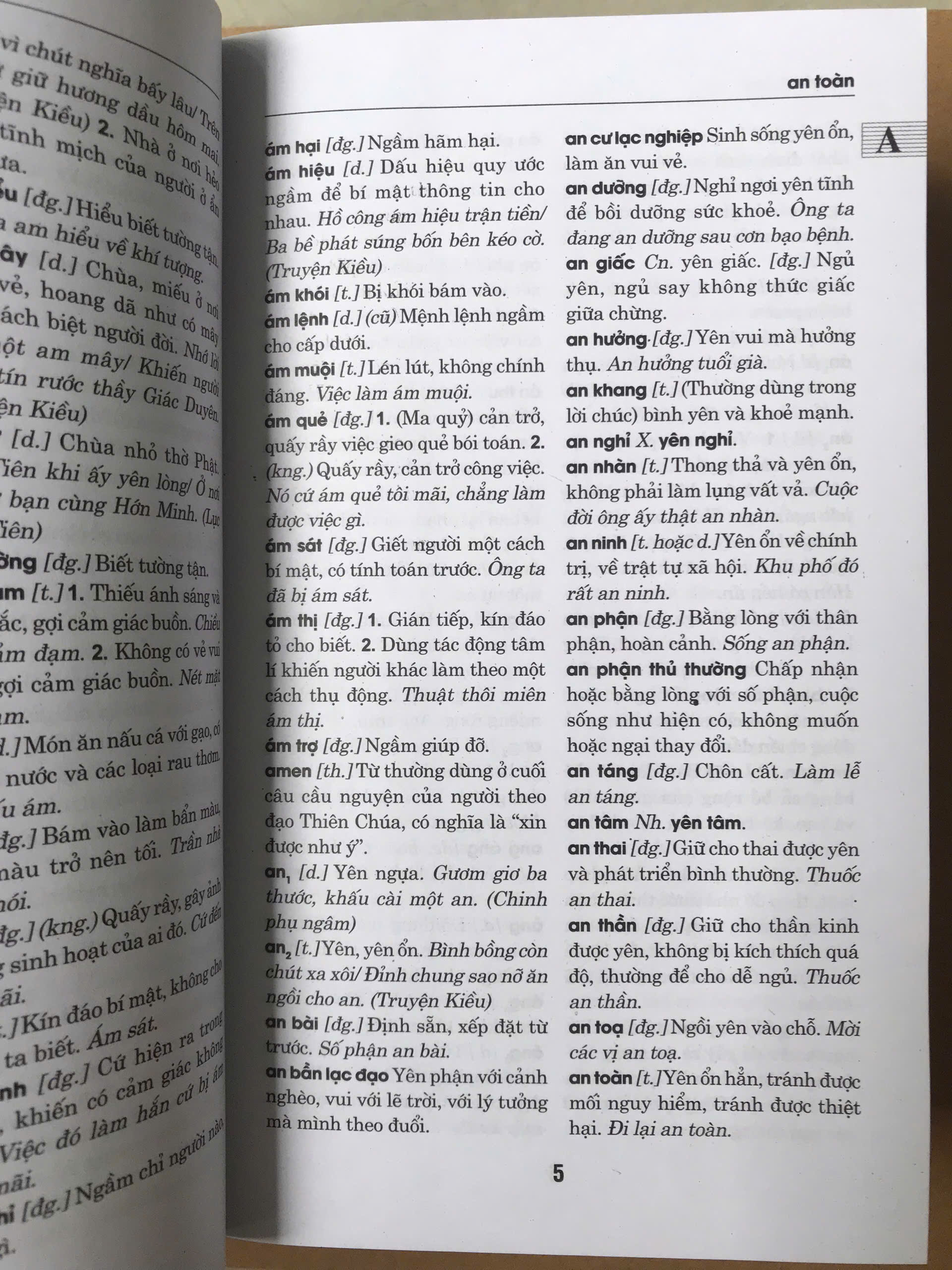 Từ Điển Tiếng Việt (Tái Bản) (Khổ nhỏ)