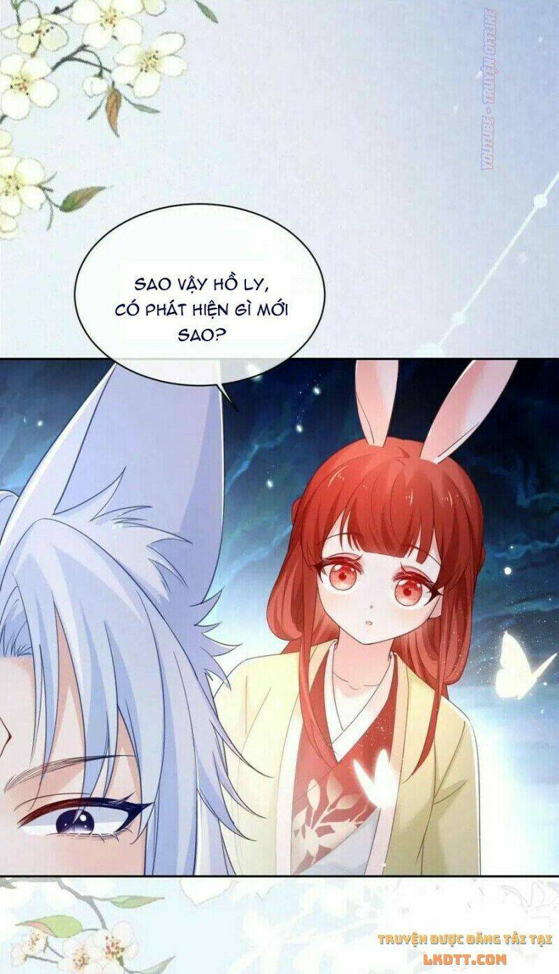 hắc hóa nam chính trực tuyến nuôi thỏ chapter 52 3