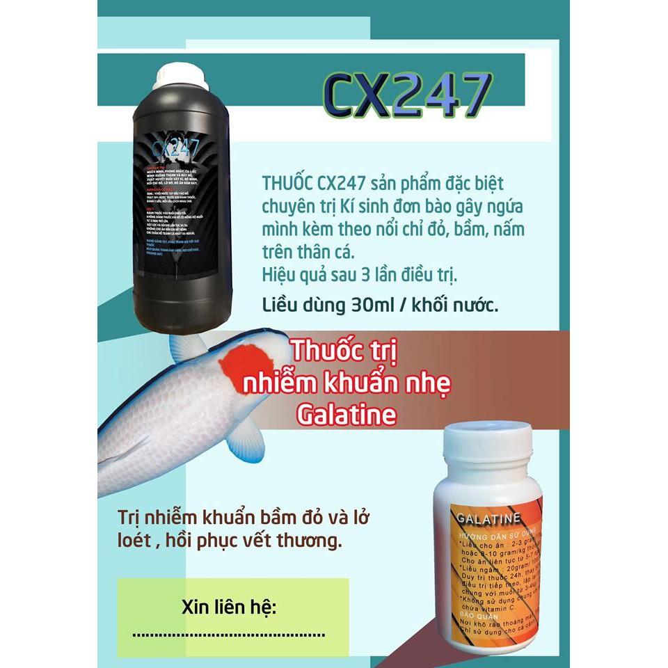 Combo 13 sản phẩm Phòng và trị bệnh cá Koi, cá Vàng, cá Rồng và các loại cá cảnh của Luna Koi Farm