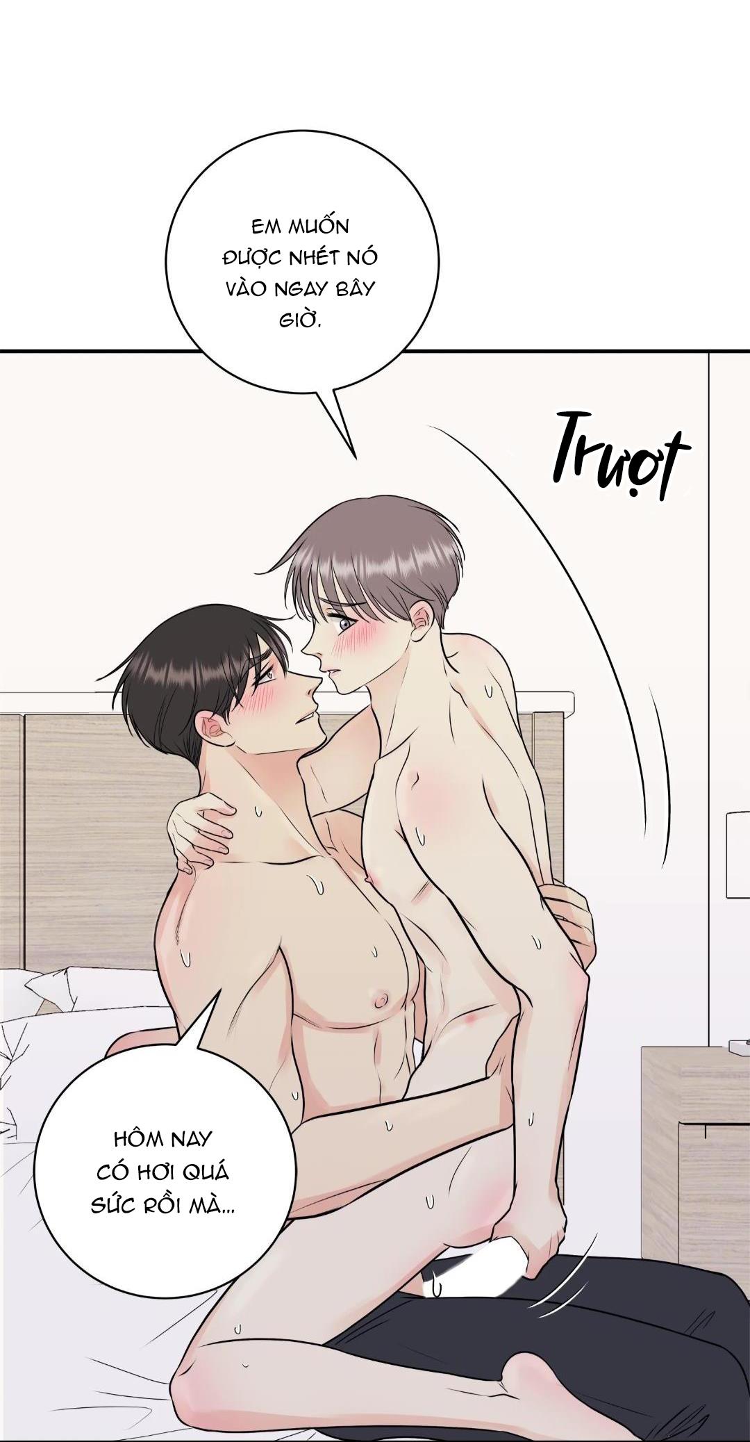 hạnh phúc trọn vẹn chapter 19 23