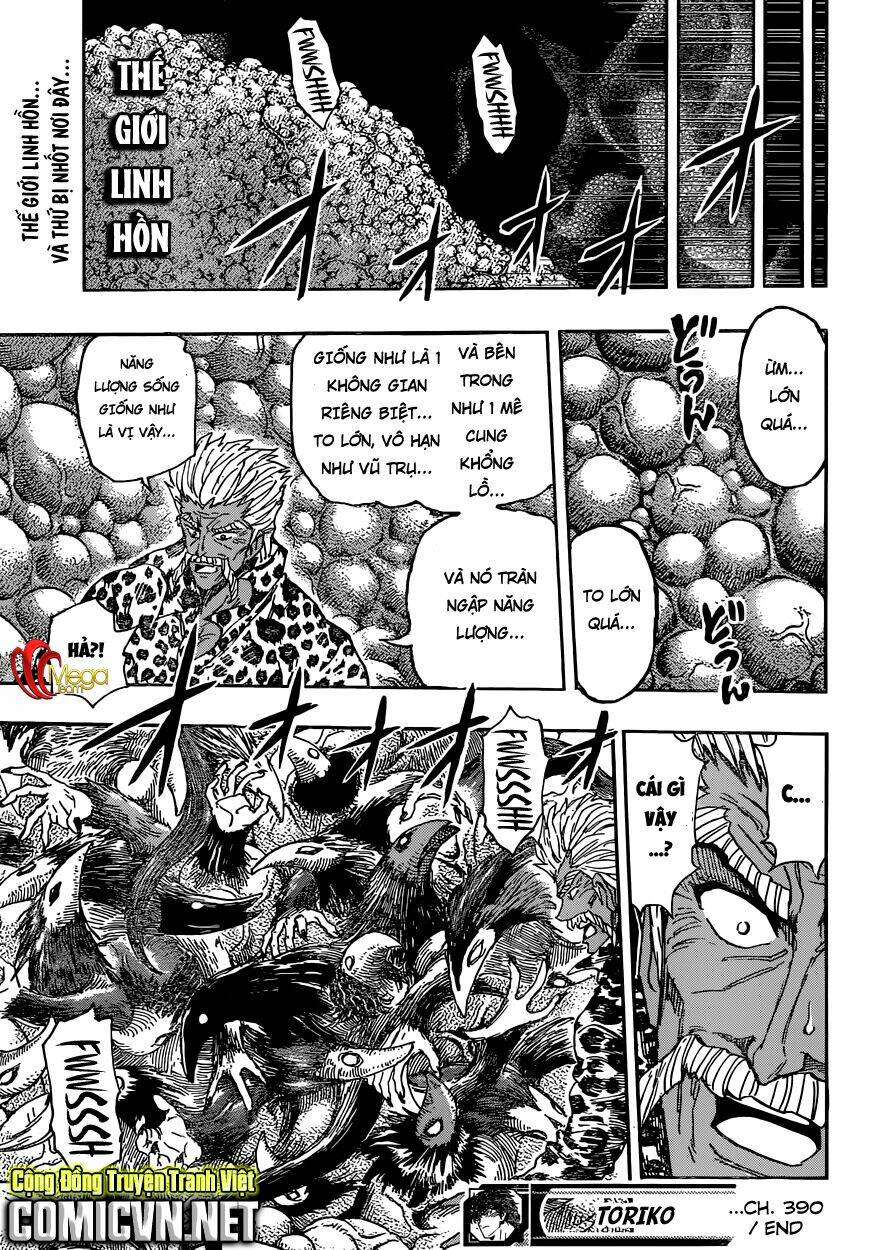 thợ săn ẩm thực chapter 390 19