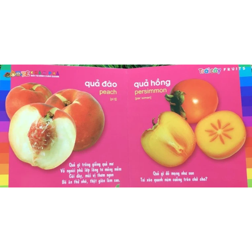 Bé khám phá môi trường xung quanh - Trái cây