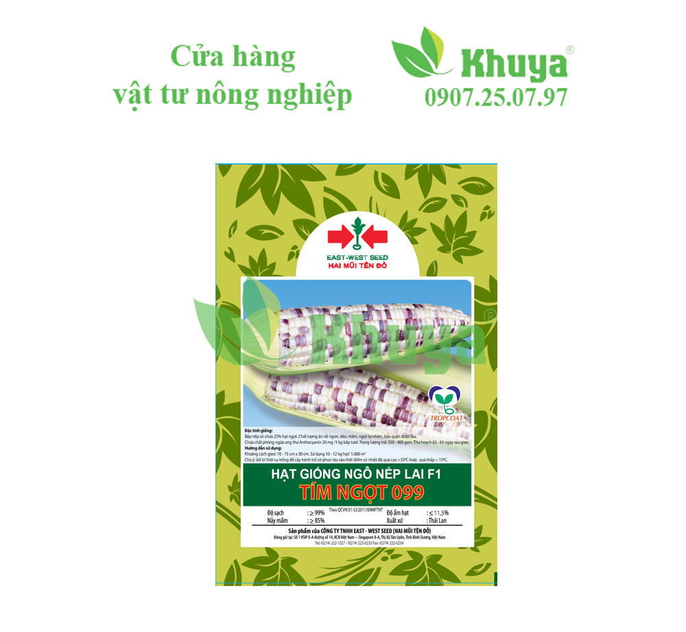 Hạt giống Bắp Nếp Lai F1 Tím Ngọt 099 Hai Mũi Tên Đỏ 100gr