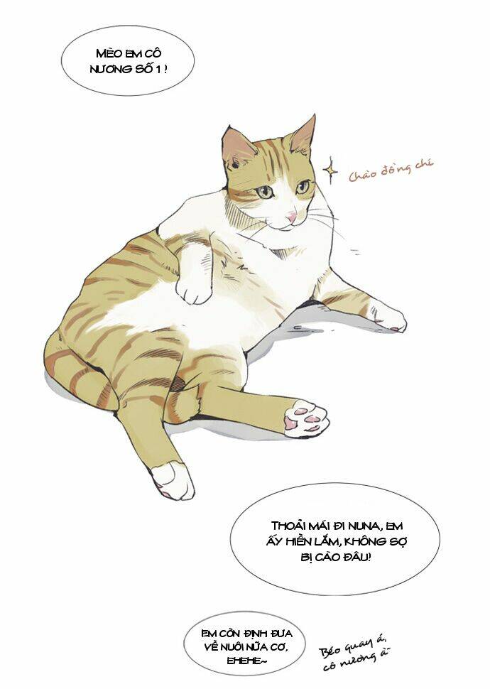 mười chín, hai mươi mốt chapter 3 16