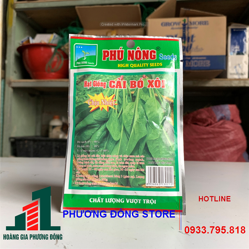 Combo 5-10 gói hạt giống rau Cải bó xôi chịu mưa, trồng quanh năm - gói 20g