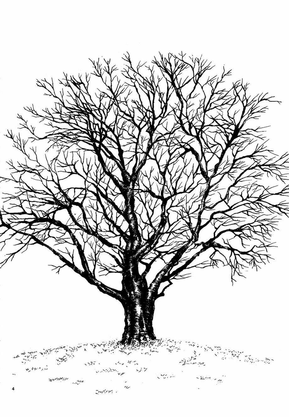 sakura gari chapter 7.1 6