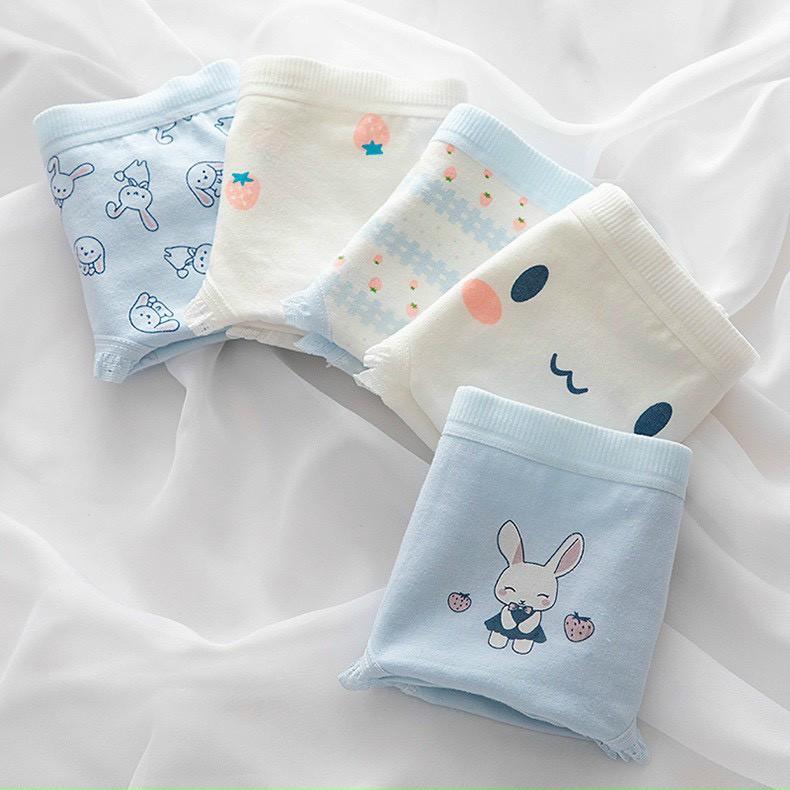 Set 5 Quần Lót Nữ Cotton Thỏ Xanh Thương Kháng Khuẩn Min_ Set 5 Quần Lót Cotton Họa tiết cute
