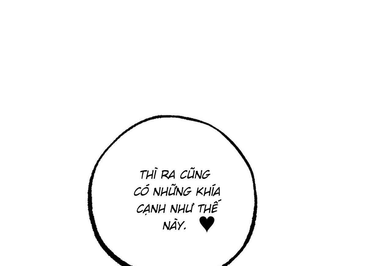 những chú thỏ của hapypy chapter 61 217