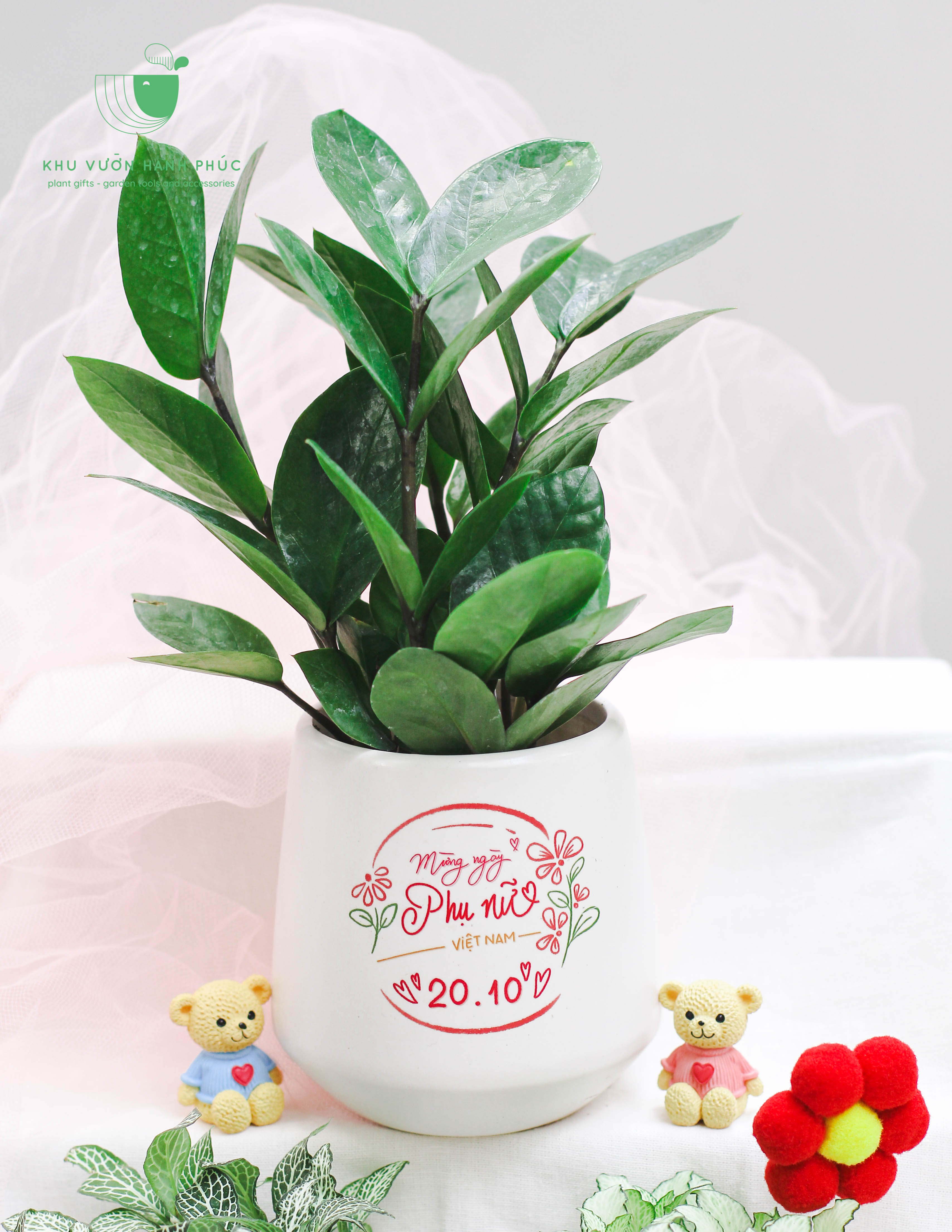 Ngày Phụ Nữ Việt Nam 20/10 - CHẬU IN VÀ CÂY XANH - Quà tặng doanh nghiệp