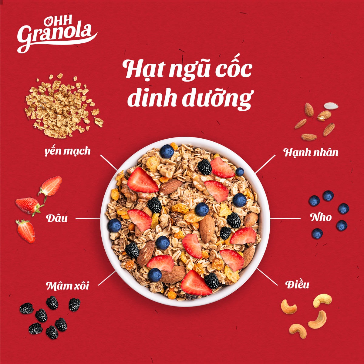 Ăn Liền Không Nấu OHH Granola - Ngũ Cốc Tập Gym Hoa Quả Sấy Khô + Ngũ Cốc Tăng Cơ Yến mạch, mắc ca, hạt óc chó,danh chế độ Eat Clean Combo 02 x Hộp 250g, Tiêu chuẩn chất lượng FDA Hoa Kỳ