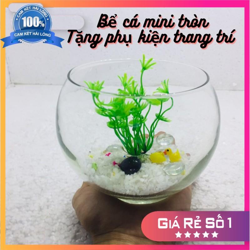 Bể cá mini để bàn tròn - Tặng phụ kiện