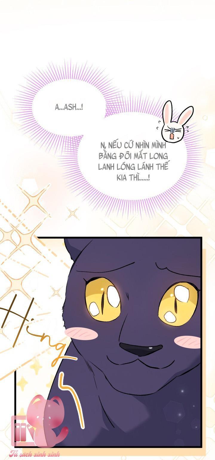 quan hệ cộng sinh giữa báo đen và thỏ trắng chapter 72 48