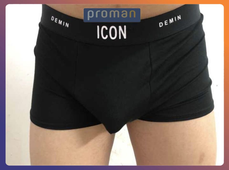 Combo 4 quần lót nam Boxer thun lạnh kháng khuẩn mềm mịn thấm hút mồ hôi, co giãn 4 chiều SI01 - PROMAN