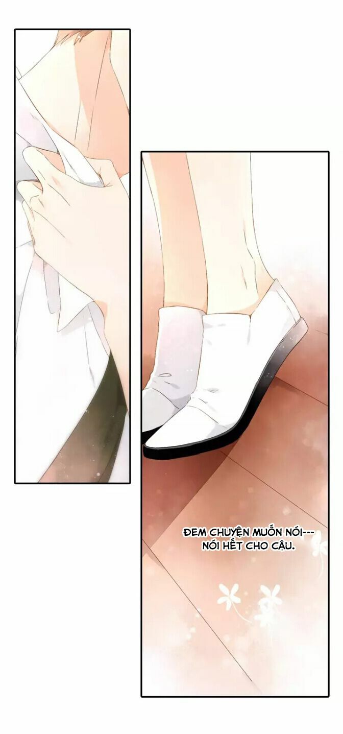 Tình yêu là màu hoa anh thảo chapter 26.2 37