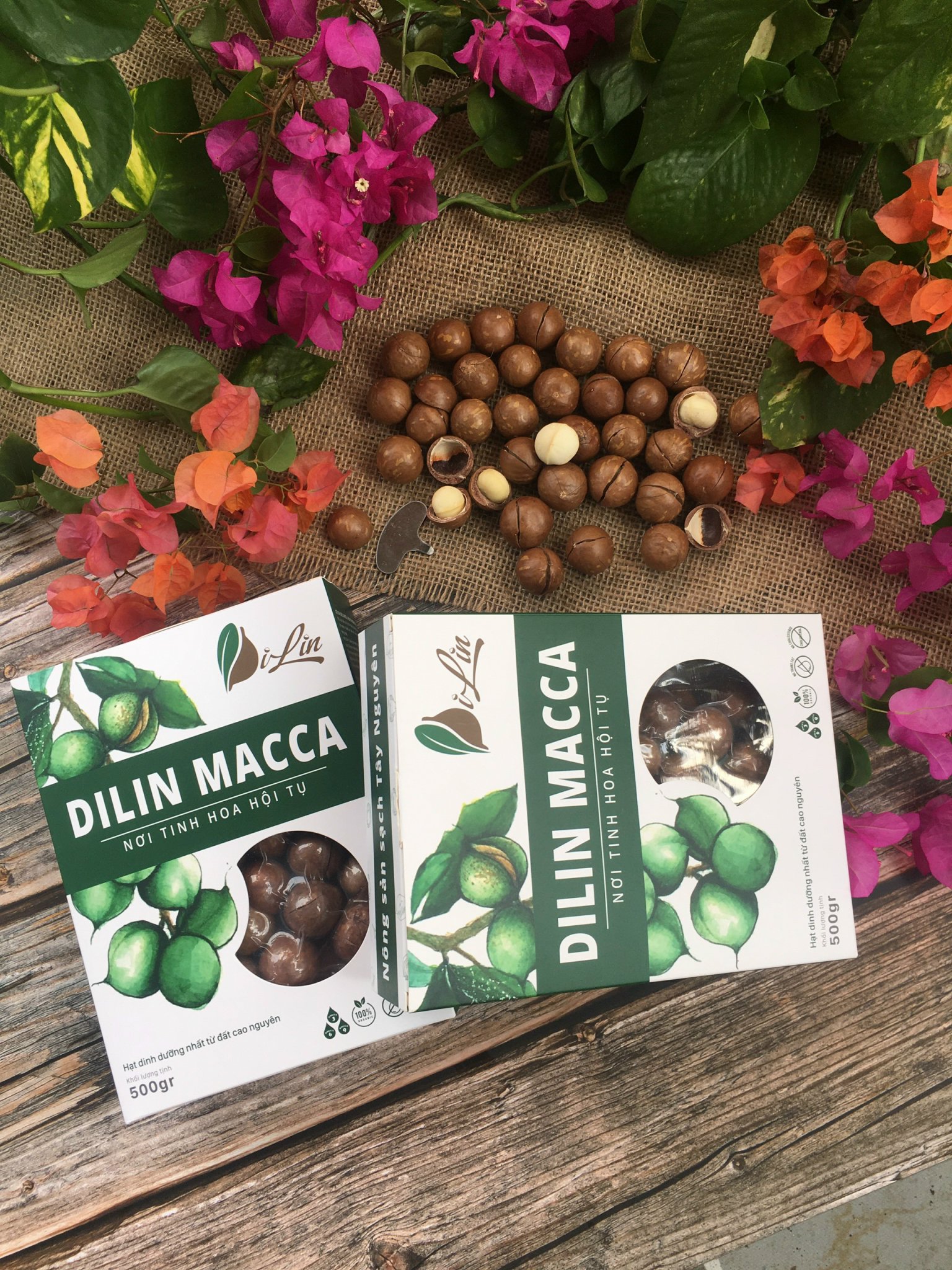 Hạt Macca Lâm Đồng Hộp Giấy Sang Trọng 500G
