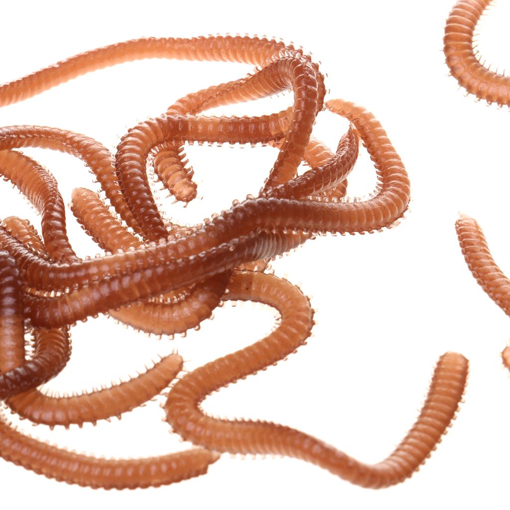 Soft Earthworm Fishing Bait Worm Lures Earth Worm Crankbaits Hooks Baits