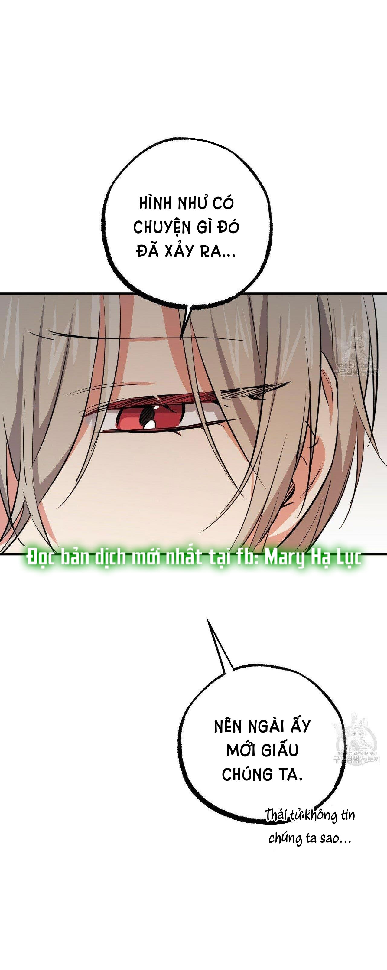 những chú thỏ của hapypy chapter 52.2 17