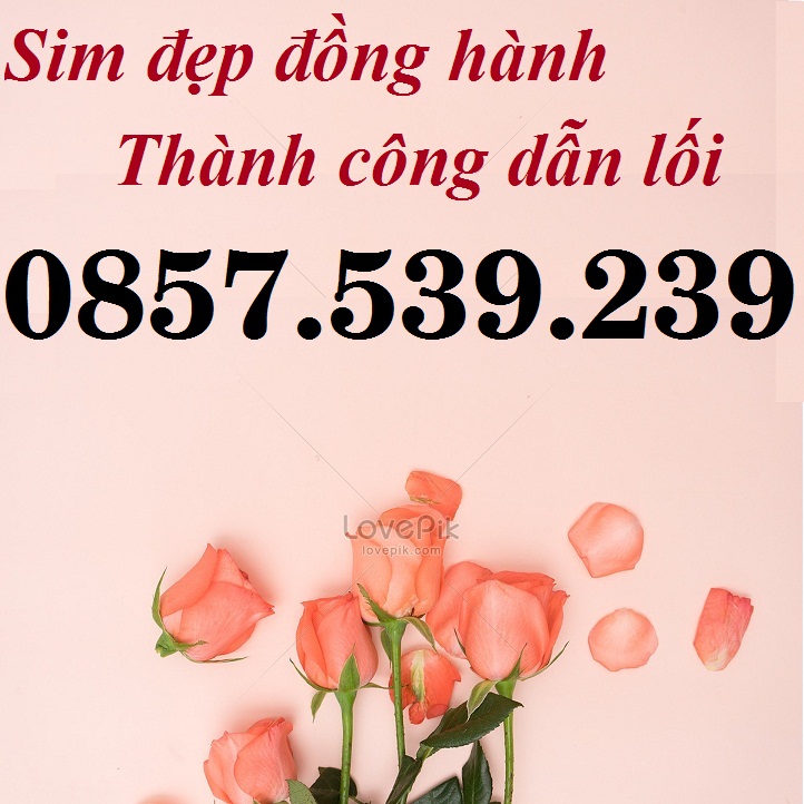 SIM SỐ ĐẸP SIM VINAPHONE PHONG THỦY, SIM THẦN TÀI LỘC PHÁT 0857.539.239