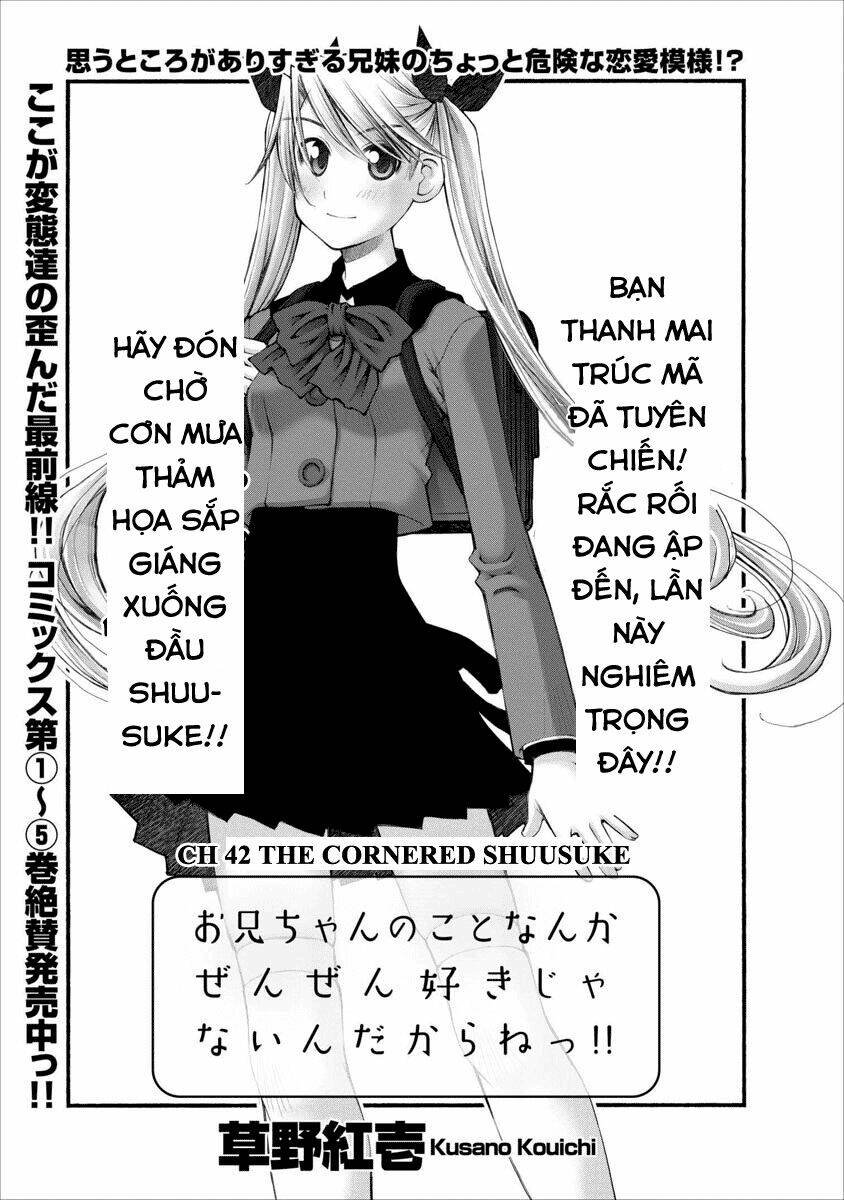 oniichan no koto nanka zenzen suki ja nai n da kara ne!! chapter 42 8