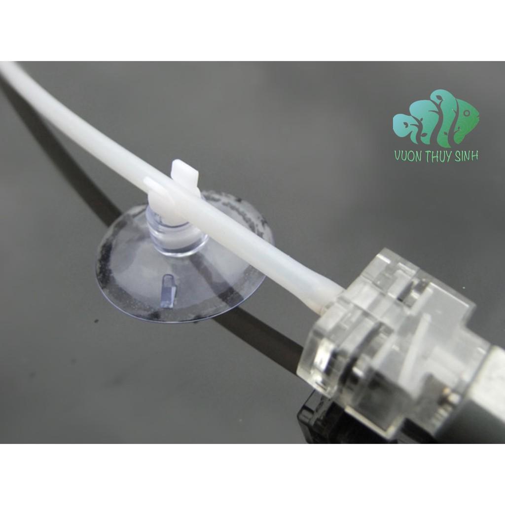 Hít kính giữ ống cho hồ cá