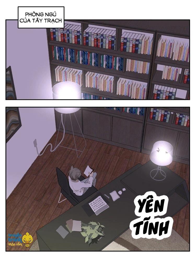 cứu mạng ! loài mèo thống trị thế giới rồi ! chapter 18 9