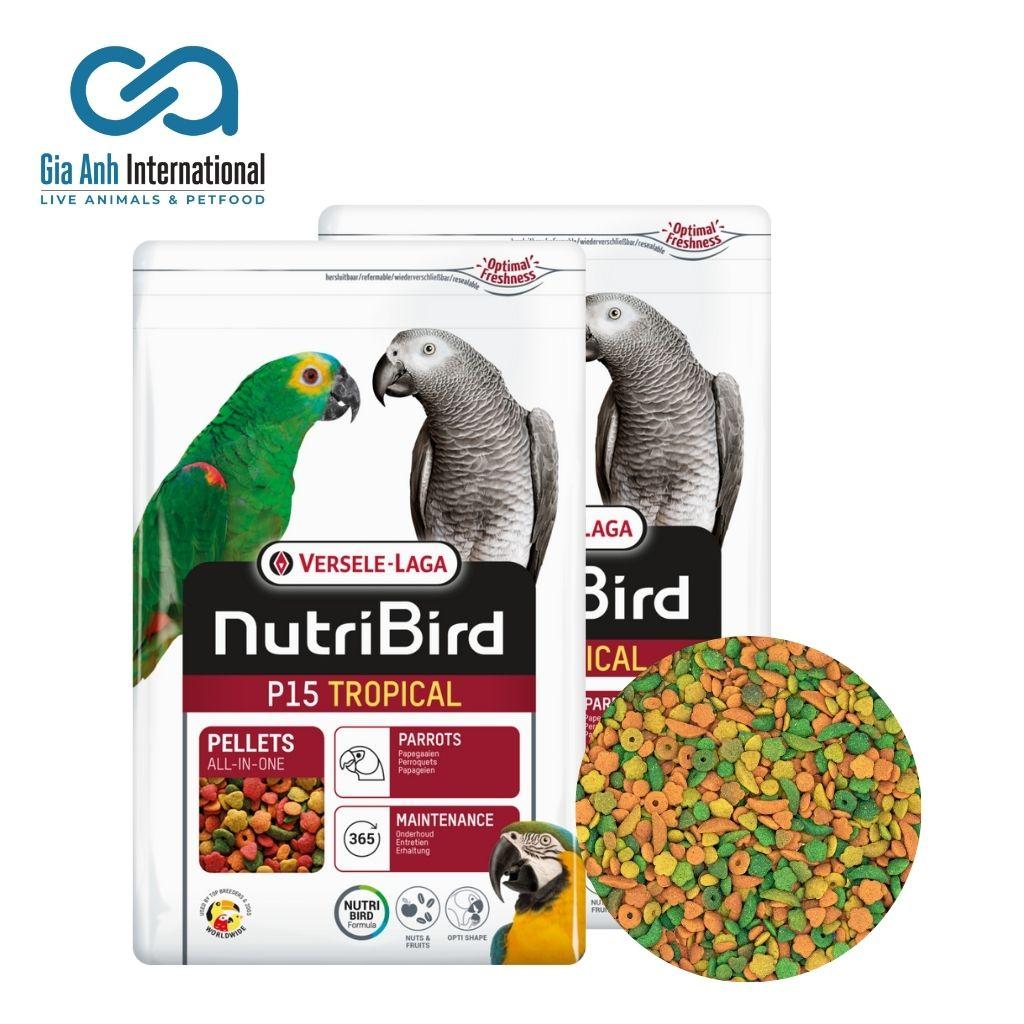 Hỗn Hợp Trái Cây Dinh Dưỡng Cho Vẹt Lớn - Versele-laga Nutri Bird P15 Tropical Làm Lông Đẹp Chim Khoẻ Mạnh Bao 10kg