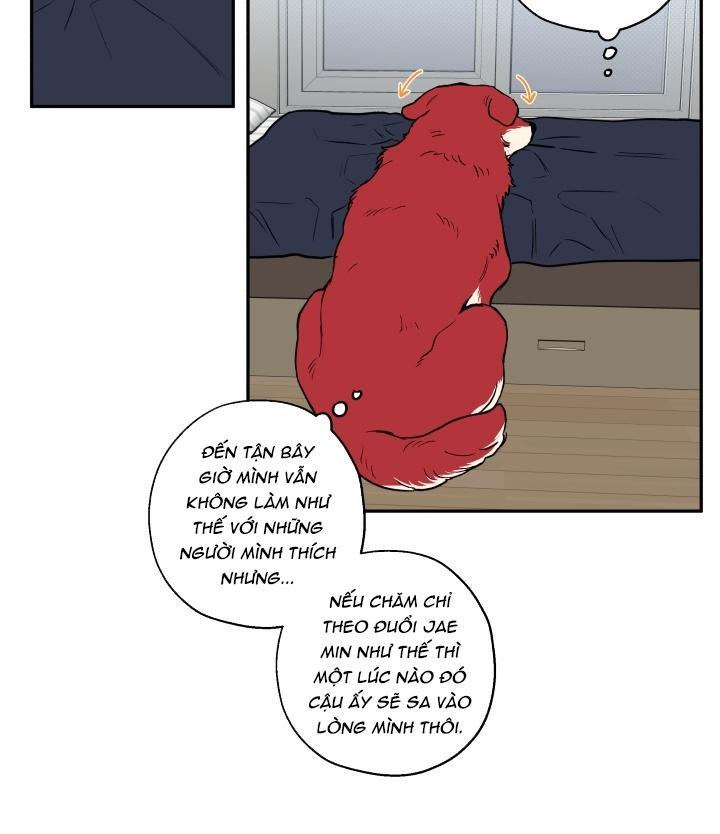 gâu gâu! chapter 19 25