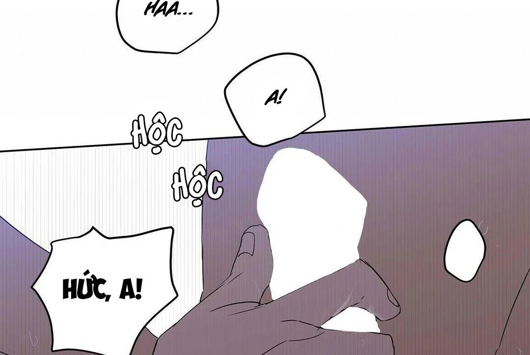 guide cấp b chapter 21 115