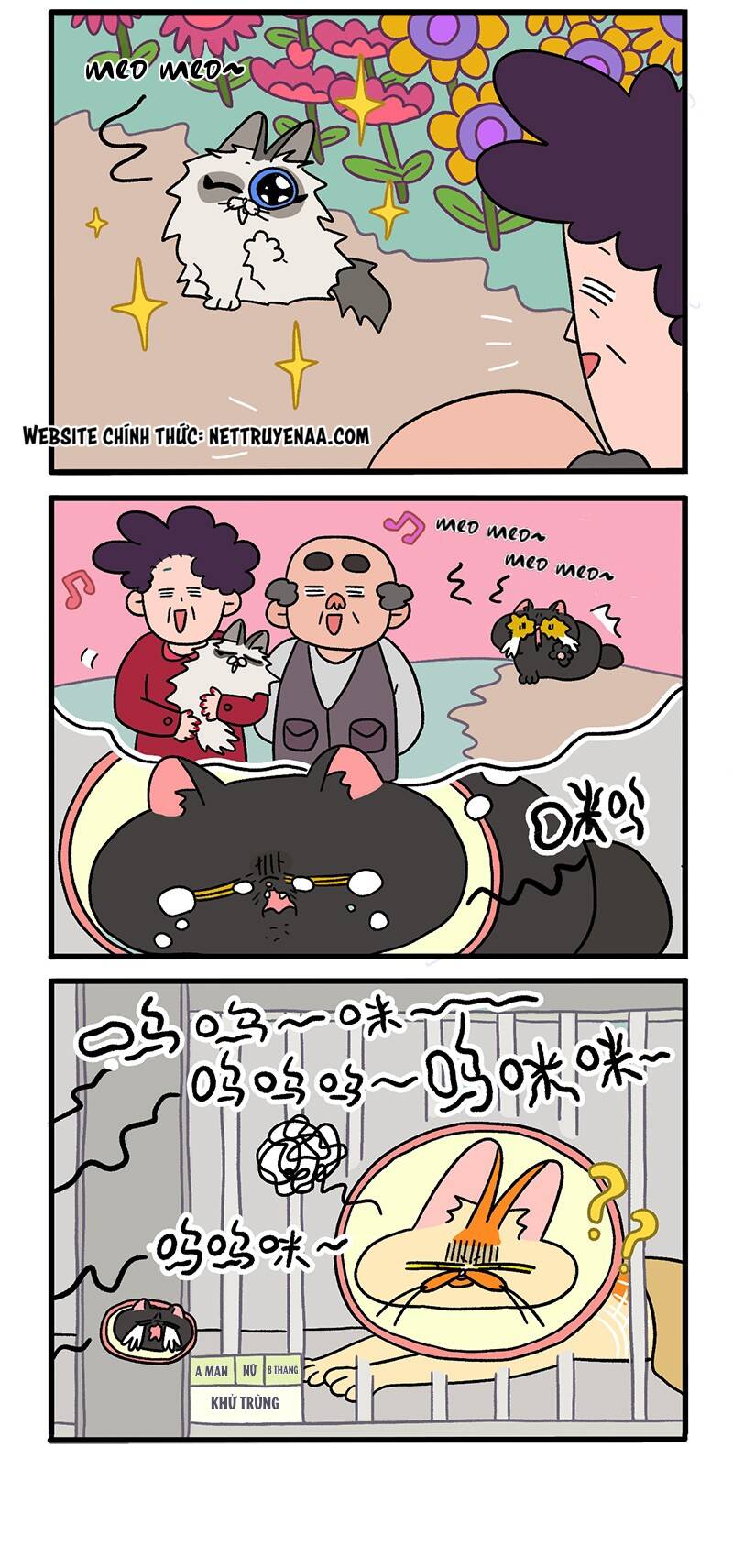 a mãn và mạch trà chapter 19 2