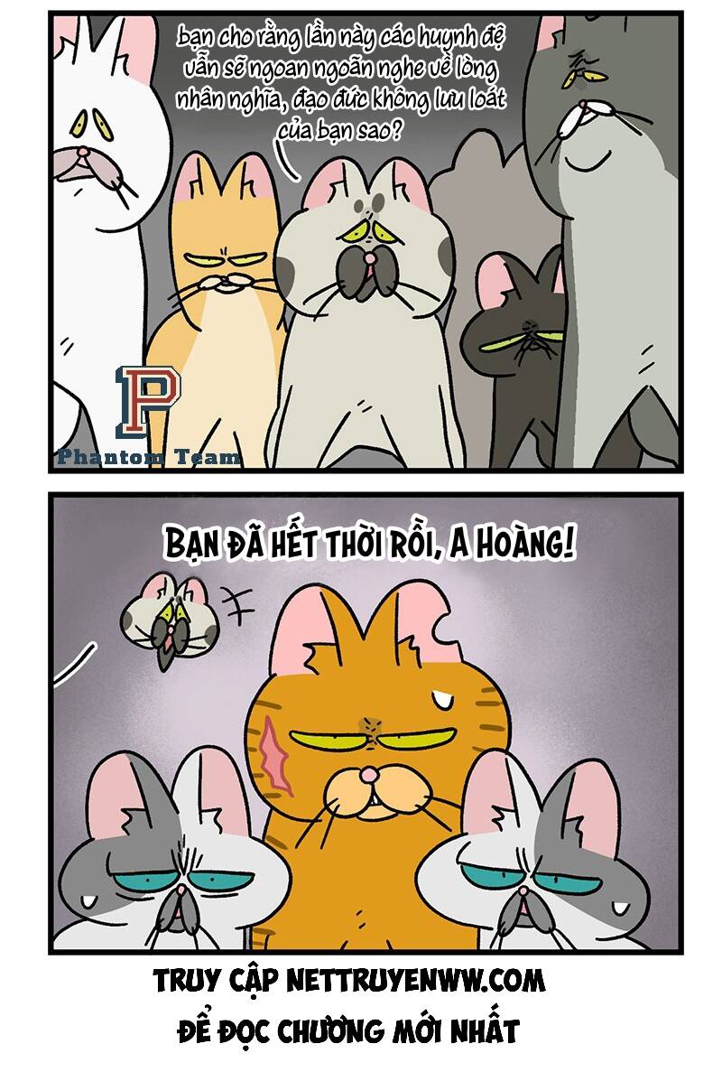 a mãn và mạch trà chapter 43.1 6